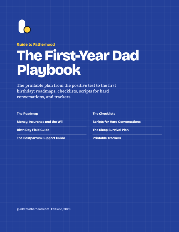 Cover of The First-Year Dad Playbook